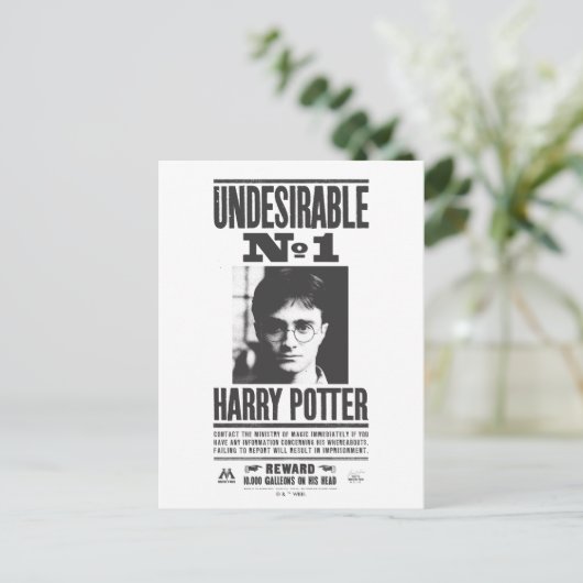 Carte Postale Non souhaitable No 1 (Debout devant)