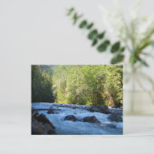 Carte Postale Nooksack (Debout devant)