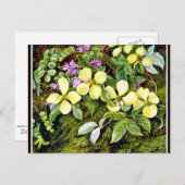 Carte Postale Nord - Fleurs d'un Dogwood et d'un Indigo (Devant / Derrière)