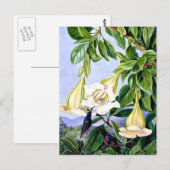 Carte Postale Nord - Foliage et Fleurs d'un Américain tropical (Devant / Derrière)