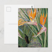 Carte Postale Nord - Strelitzia et Sugar Birds, Afrique du Sud, (Devant / Derrière)