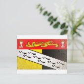 Carte Postale Norfolk (Debout devant)