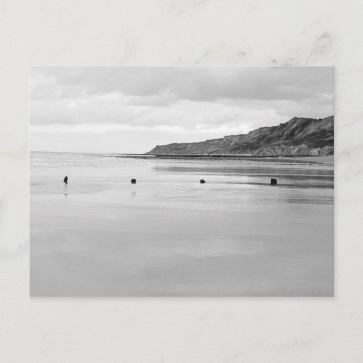 Carte Postale Norfolk Shore (Devant)