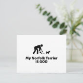 Carte Postale Norfolk Terrier (Debout devant)
