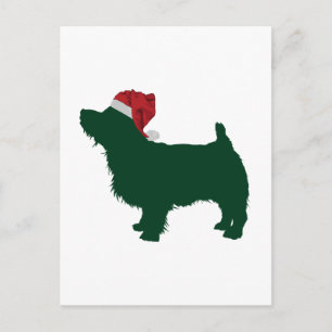 Carte Postale Norfolk Terrier