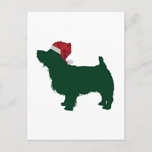 Carte Postale Norfolk Terrier (Devant)