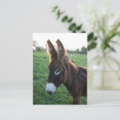 Carte Postale Normandie 2009 (Debout devant)