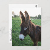 Carte Postale Normandie 2009 (Devant / Derrière)