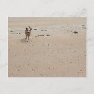 Carte Postale Normandy 2009 (1)