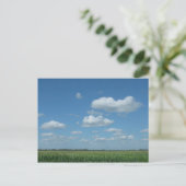 Carte Postale North Dakota Corn Field (Debout devant)