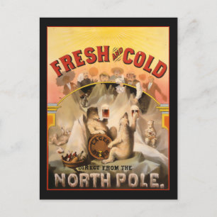 Carte Postale North Pole Beer