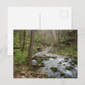 Carte Postale North Sylamore Creek (Devant / Derrière)