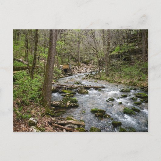 Carte Postale North Sylamore Creek (Devant)