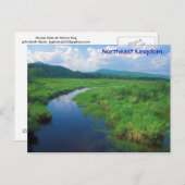 Carte Postale Northeast Kingdom Vermont Victory Bog (Devant / Derrière)