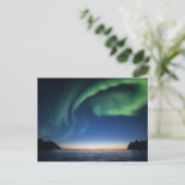 Carte postale Northern Light (Debout devant)