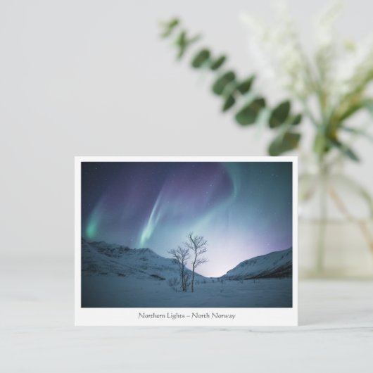 Carte postale Northern Lights (Debout devant)