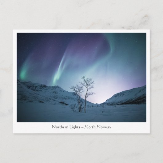 Carte postale Northern Lights (Devant)