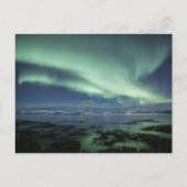 Carte Postale Northern Lights Norvège (Devant)