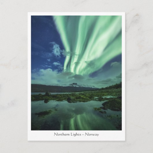 Carte Postale Northern Lights Norvège (Devant)