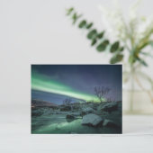 Carte Postale Northern Lights Norvège (Debout devant)