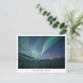 Carte Postale Northern Lights Norvège (Debout devant)