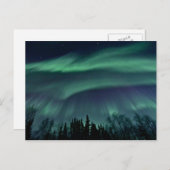 Carte Postale Northern Lights of Alaska, ZTD (Devant / Derrière)