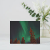 Carte Postale Northern Lights over Ft. Wainwright, AK (Debout devant)