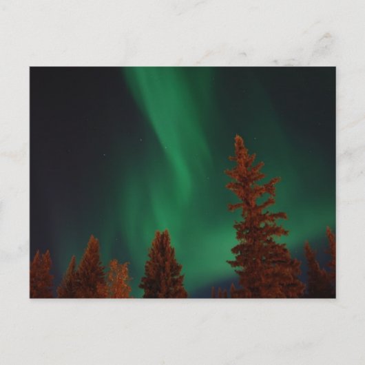 Carte Postale Northern Lights over Ft. Wainwright, AK (Devant)