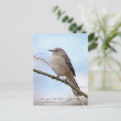 Carte postale Northern Mockbird (Debout devant)