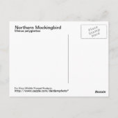 Carte postale Northern Mockbird (Dos)