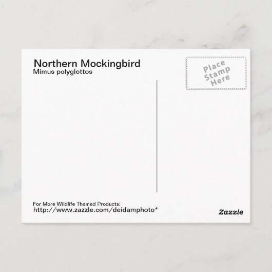 Carte postale Northern Mockbird (Dos)