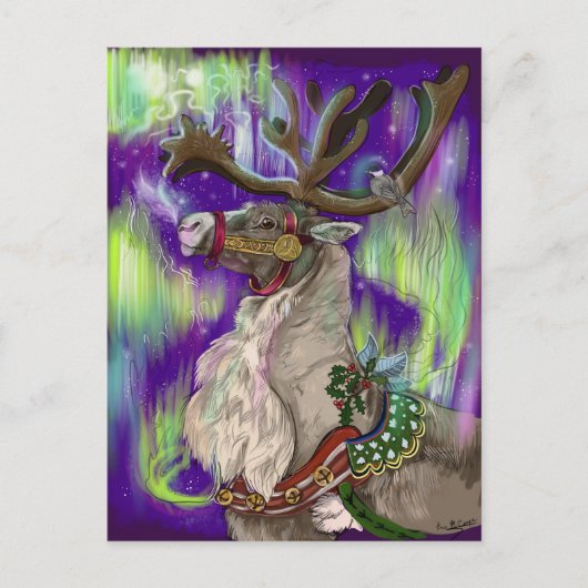 Carte postale Northern Wonders (Devant)