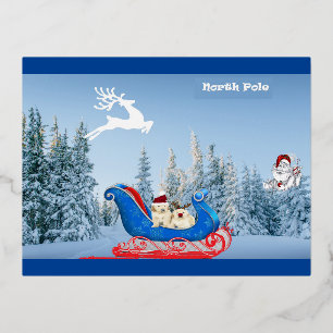 Carte postale NorthPole Holiday