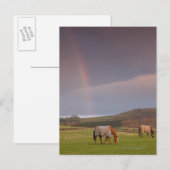 Carte Postale Northumberland, Angleterre (Devant / Derrière)