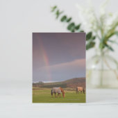 Carte Postale Northumberland, Angleterre (Debout devant)