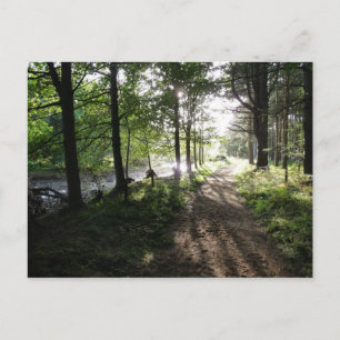 Carte postale Northumberland "Walk Near River"