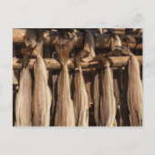 Carte Postale Norvège Lofoten Stockfish (Devant)