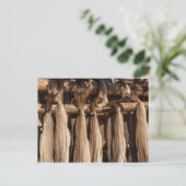 Carte Postale Norvège Lofoten Stockfish (Debout devant)