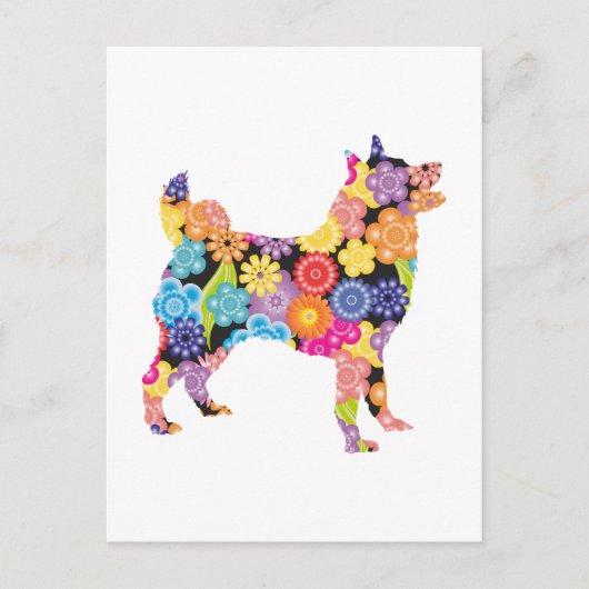 Carte Postale Norvégien Elkhound (Devant)