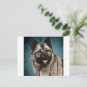 Carte Postale Norvégien Elkhound (Debout devant)