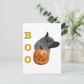 Carte Postale Norvégien Elkhound Boo (Debout devant)