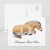 Carte postale norvégienne Fjord Horse (Devant / Derrière)