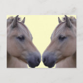 Carte Postale Norwegian Fjord (Devant)