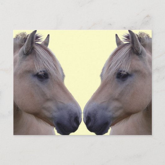 Carte Postale Norwegian Fjord (Devant)