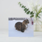 Carte Postale norwegian forest cat in snow (Debout devant)
