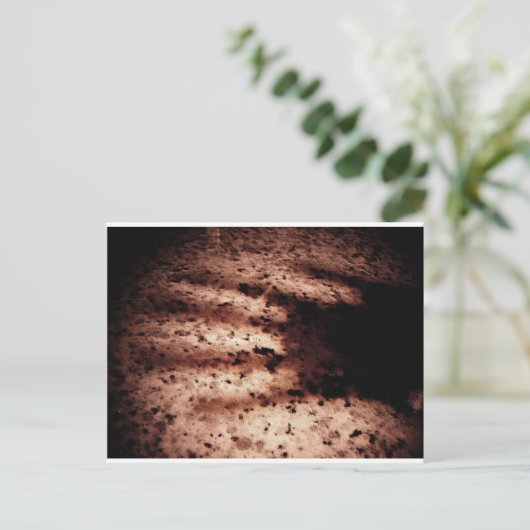 Carte Postale Nosferatu (Debout devant)