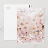 Carte Postale nostalgie (Devant / Derrière)