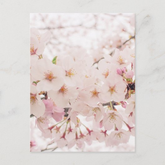 Carte Postale nostalgie (Devant)