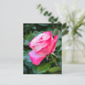 Carte Postale Nostalgie Rose Nostalgie (Debout devant)