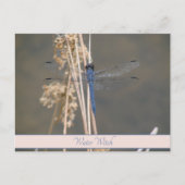 Carte Postale Note Botanique Personnalisée Libellule Bleue Vinta (Devant)